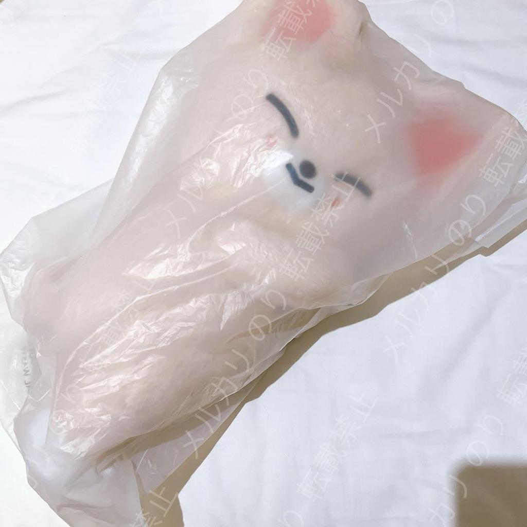 [USED] StrayKids dominATE Unconstructed Plush Bag Aien