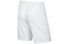 Nike Sports Shorts Men's White Moderate 725887-100