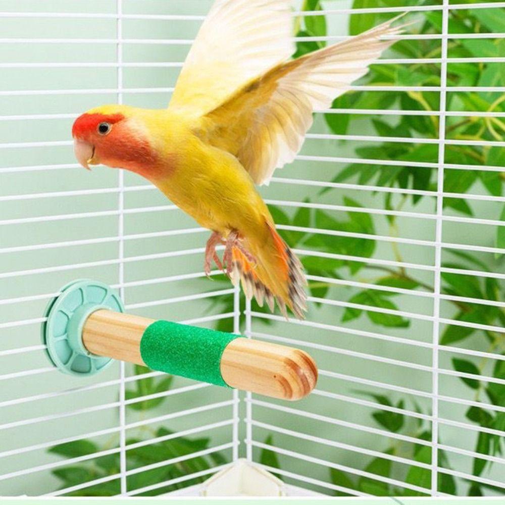 Bite Resistant Parrot Standing Pole Wear Resistant Bird Claw Grinding Rod Claw Maintenance