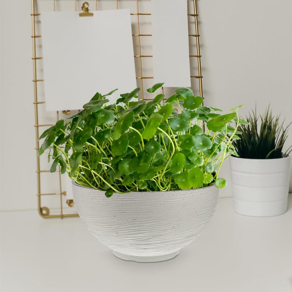 Housoutil Vintage Succulents Planter Ceramics Water Lily Bowl Hydroponic Planter Pot Round Succulent Nursery Pot Flowerpot Decoration (Beige) Office