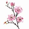 Real Touch Artificial Magnolia Flowers Branch Pink Plastic Fake Flower  Indoor Decoration