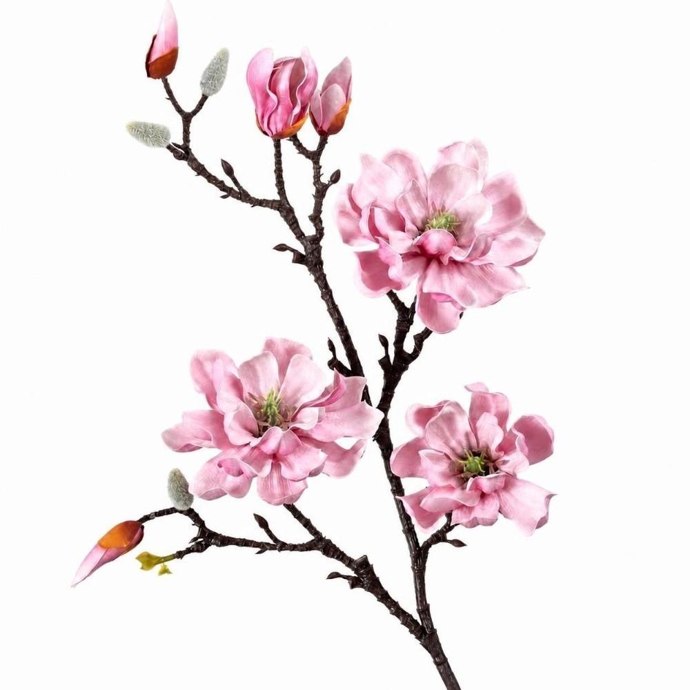 Real Touch Artificial Magnolia Flowers Branch Pink Plastic Fake Flower  Indoor Decoration