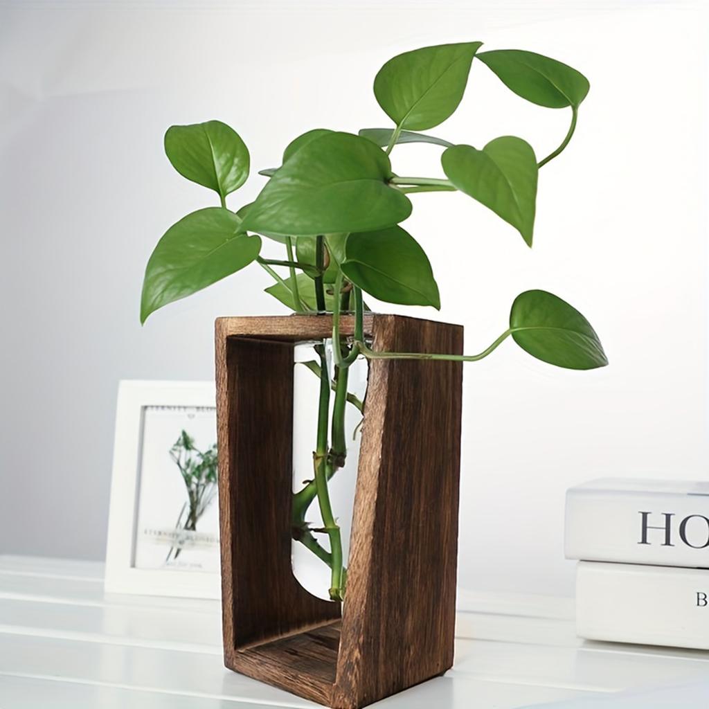 Hydroponic Glass Container Vase Jars Modern Simple Plants Terrarium Container Desk Decor Ideal Gifts for Families Friends