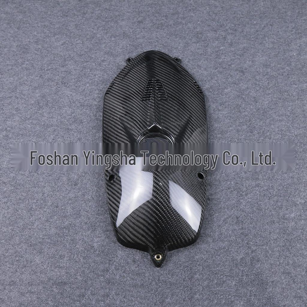 BMW R Nine T (2015-2016) Carbon Fiber Engine & Water Cooler Cover