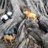 Wildlife World Collection 40 Hollow Plastic Animal Figure Model Ornament Doll Collection Toy