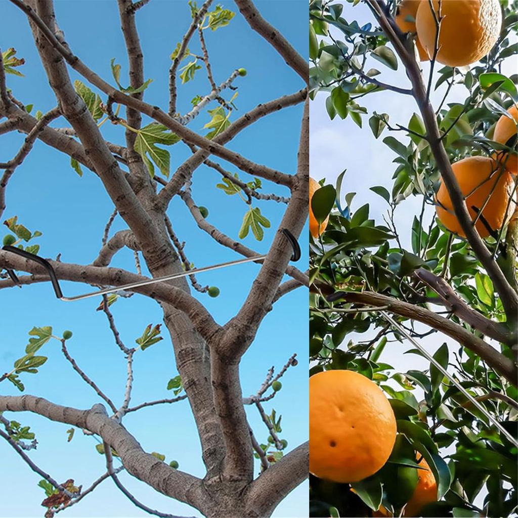 Durable Fruit Tree Training Clips With Plastic Coating Safe Branch Angle Adjustment For Orchards