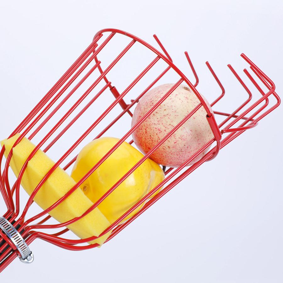 Fruit Picking Tools Hand Olive Gardening Accessories Collect Tool From the Tree Persimmon Picker Fruits Collector Farm Equipment