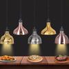 60-180cm Dehnbar Lebensmittel-Wärmelampe Kommerzieller Buffet-Wärmer Lampe Buffet / Restaurant / Catering Isolierung Lebensmittel Lampe
