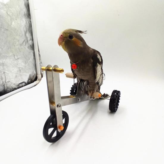 Yousheng 1 Set Parrot Training Bicycle Toy Funny Bird Cockatiel Conure Parakeet Mini Metal 4-Wheels Bike Foot Exercising Educational Toy Pet Supplies