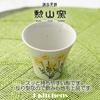 Isayama Kiln Teacup Made in Yellow J-kitchens (Hasami Ware), Japan, 140cc, Wildflowers,