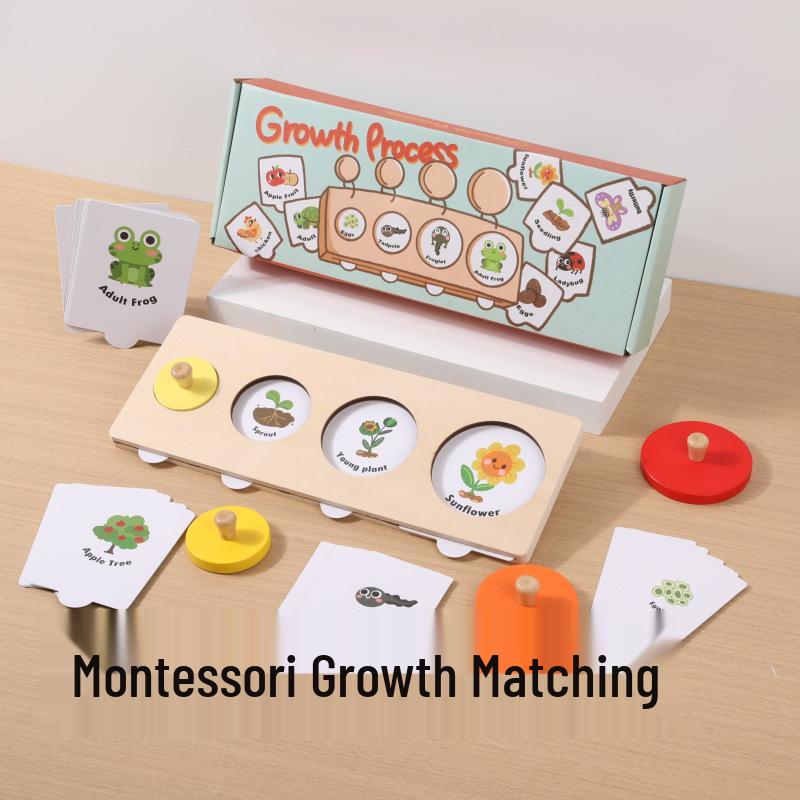 Montessori Life Cycle Growth Puzzle for Kindergarten & Small Classes - Educational Science Toy