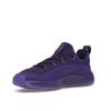 Nike LeBron TR 1 Purple Rain Unisex Sneakers Court-Purple Action-Grape FJ6151-500