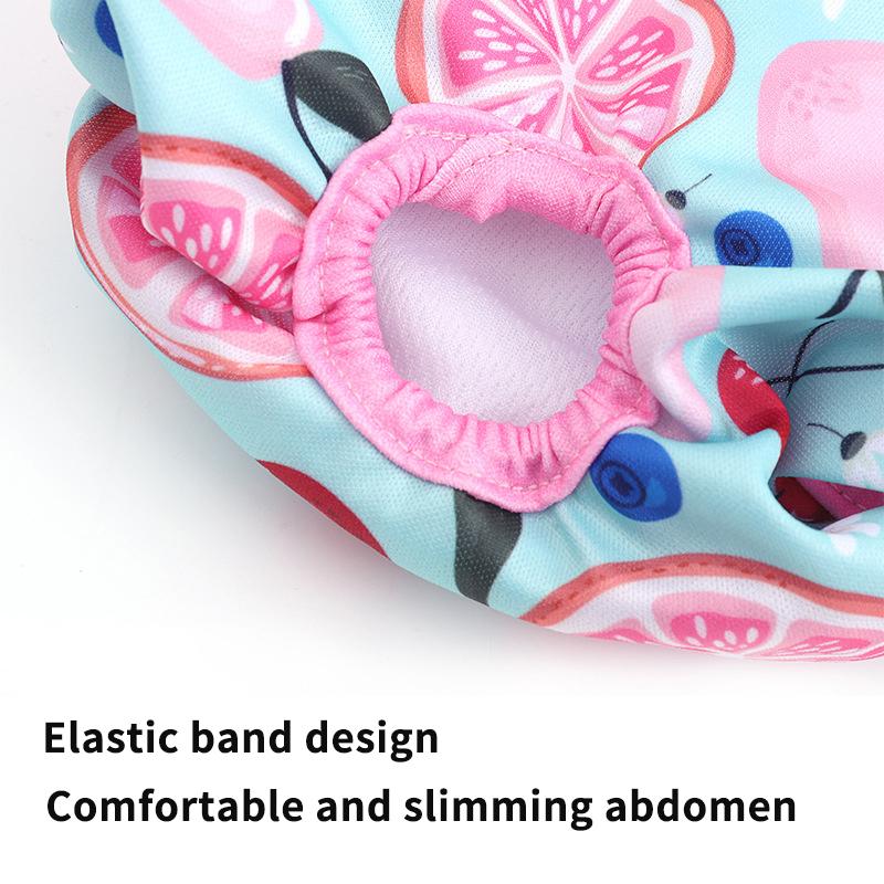Dog Diapers For Female Dogs Physiological Pant Puppy Panties Shorts Underwear Washable Dog Diper Panties Pet Dog Cat Clothes