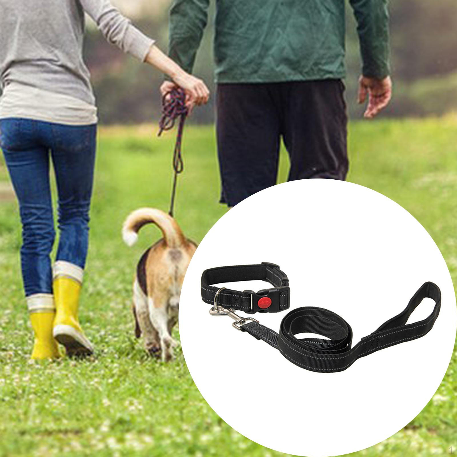 

Dog Leash for S
