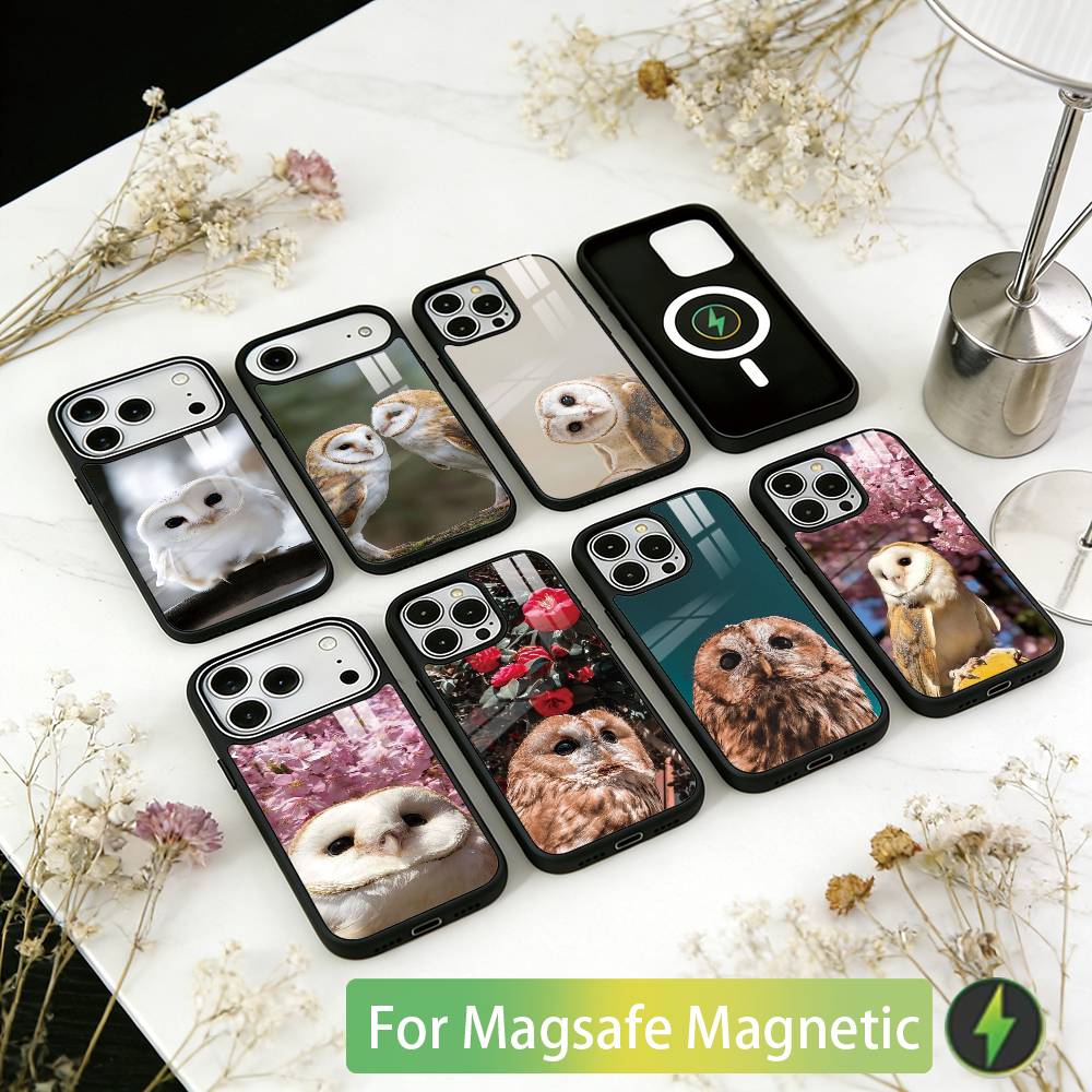 Haustier Süße Eule Handyhülle Für iPhone17,16,15,14,13,12,11 Plus,Pro Magnetisch Für Magsafe Kabelloses Laden