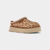 Chinelo Tazz Plains Felicity Leopardo Jasmim (mulheres)