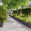 VidaXL Lawn Edging 10 Pcs Black 25x103 Cm Cold-rolled Steel, Garden Edging, Garden Bed Edging, Edging 860166