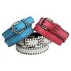 Luxury Brand Design Pin Buckle Waistband Gothic Leather Belt Ladies Dress Strap Rivet Waist Band