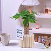 Nordic Ceramic Orchid Vase - Light Luxury Style for Small Plants