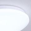 Nu Feng Round LED Ceiling Light
