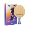 Tenis de masă – Palete tenis de masă