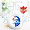 Walch Foaming Antibacterial Hand Soap