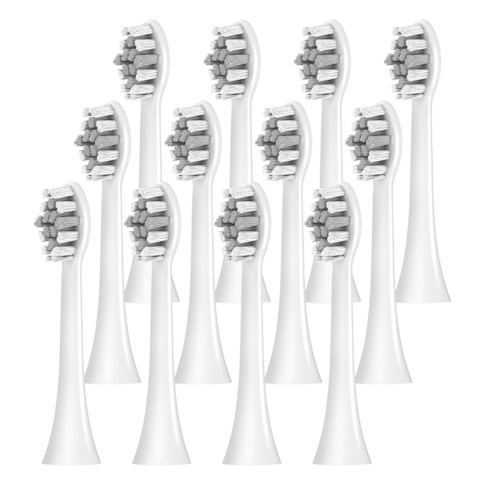 Replacement Toothbrush Brush Heads Compatible with Philips Sonicare Professional Electric Toothbrush Pro1100 2100 4100 5100 6100