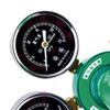 Heated Nitrogen & CO2 Pressure Regulator with Gauge (CN version)