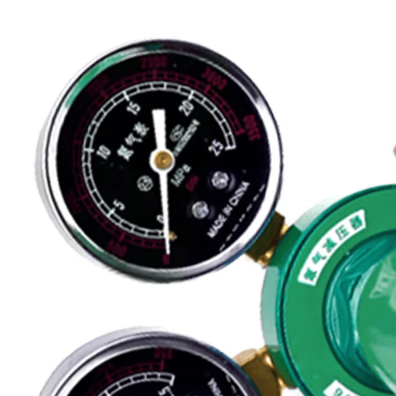 Heated Nitrogen & CO2 Pressure Regulator with Gauge (CN version)