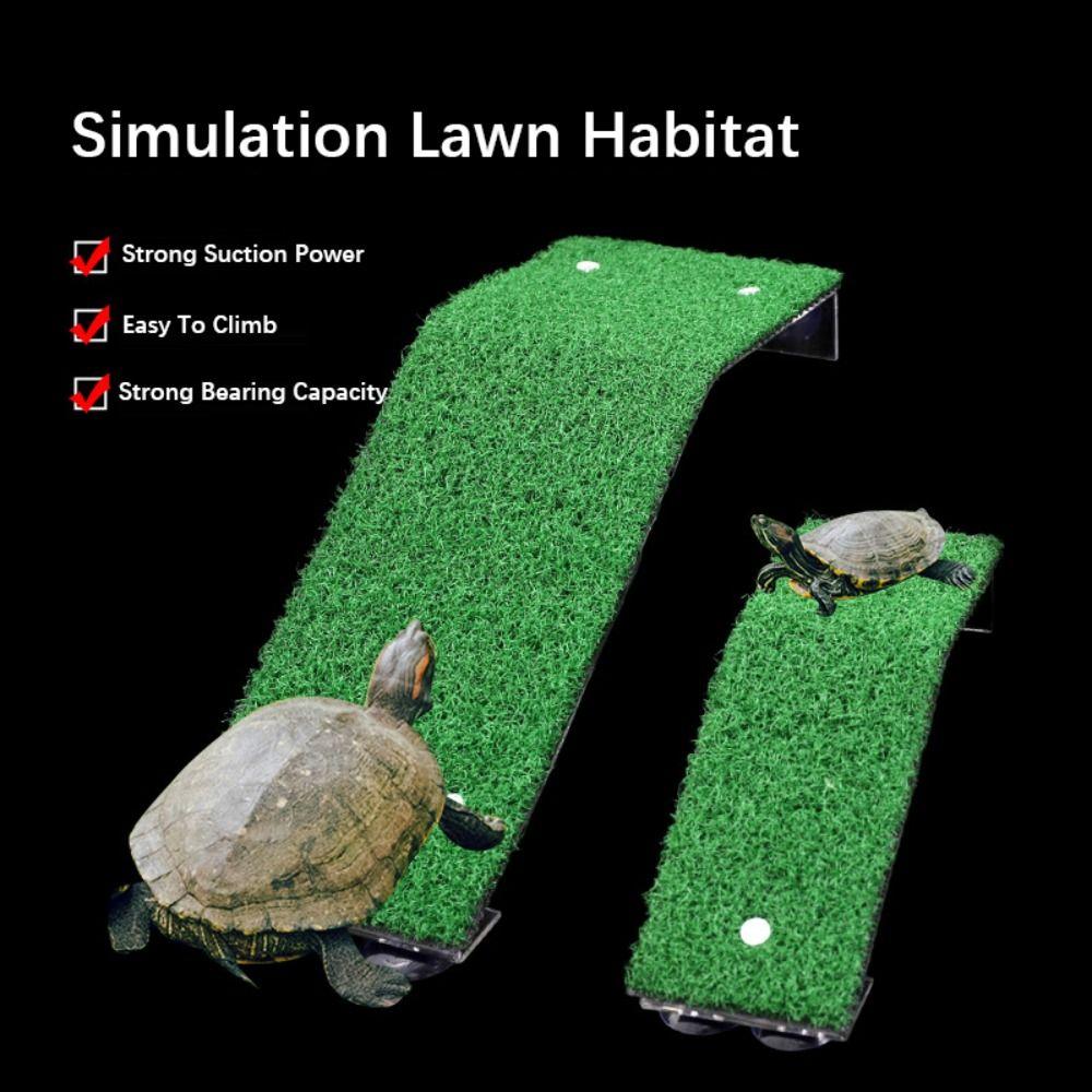 Akrylová rampa pro plazy Platforma Silná přísavka Žebřík pro lezení želv Želva