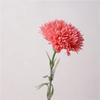 10pcs 3D Silk Flower Multi Color Fake Flowers New Carnation Branch  Mother's Day