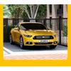 Black Shade Net Thickening Encryption Sunscreen Shading Net Balcony Courtyard Insulation Cloth Outdoor Plant Shading Network
