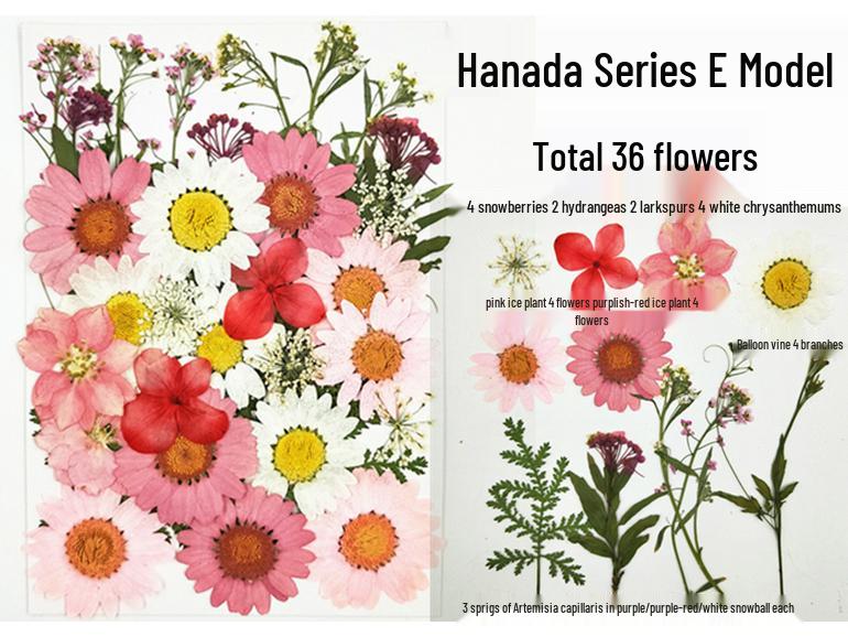 Handmade Kindergarten Collage: Real Dried Leaf and Flower Stickers for Face and Photo Decoration