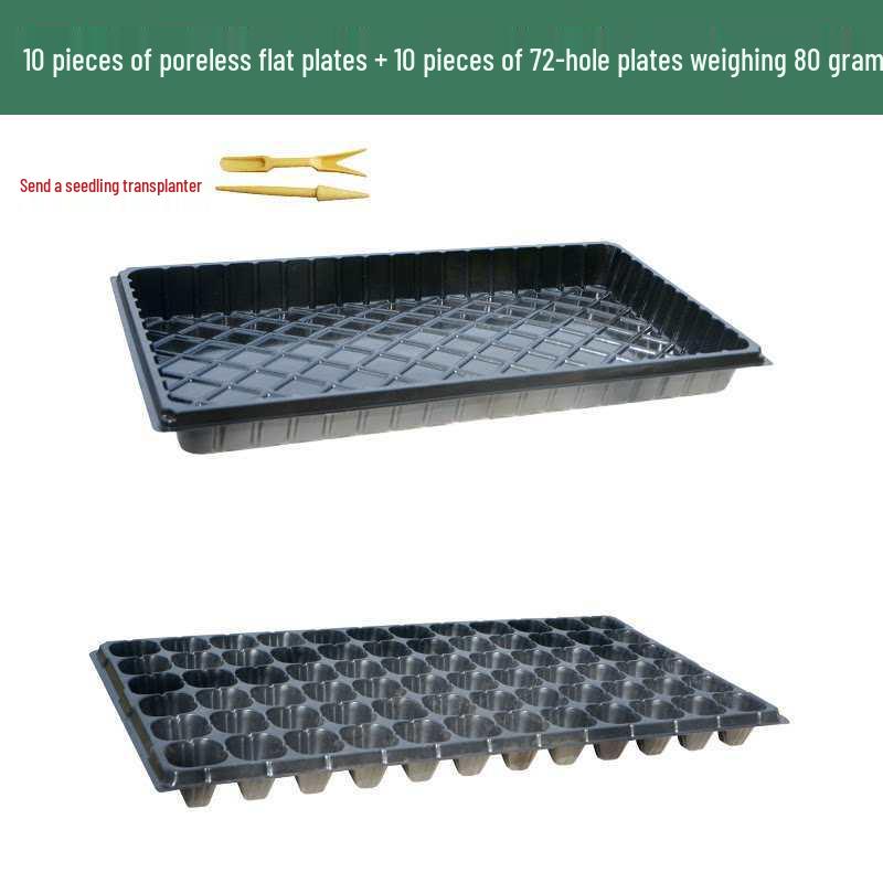 Thickened Plastic Succulent Seedling Tray for Cultivation & Cutting