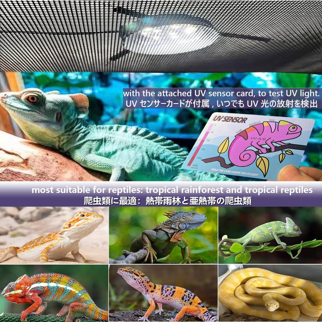 ANJOJOA 2025US 6W LED Reptile UV Popular Model for Reptile Cages with Mesh Adjustable Light for Rainforest and Desert Reptiles UVA/UVB Hook-Type