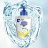 Safeguard Antibacterial Hand Wash Duo Pack