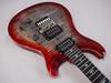 Paul Reed Smith (PRS) SE Custom 24 Floyd (Charcoal Cherry Burst)