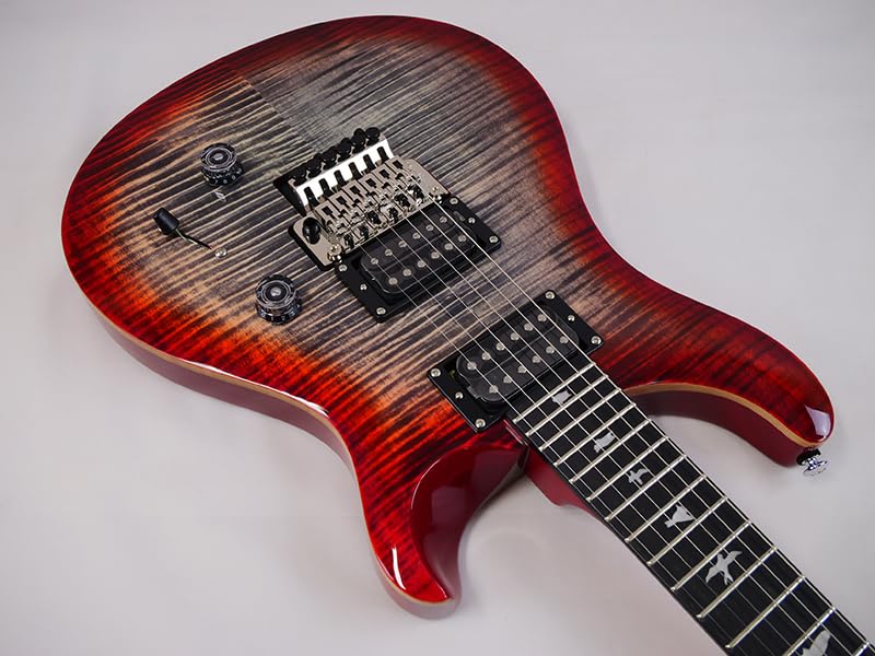 Paul Reed Smith (PRS) SE Custom 24 Floyd (Charcoal Cherry Burst)