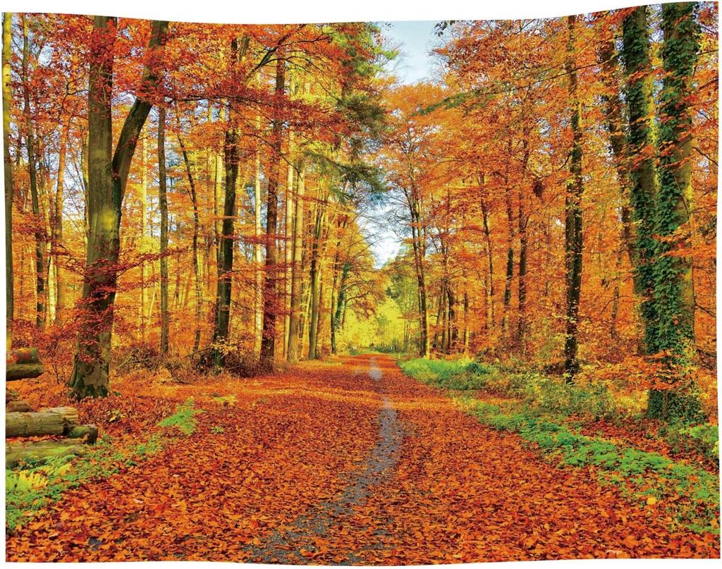 Landscape Tapestry Autumn Season Fall Trees with Morning Fog in Forest Relaxing Art Nature Photo Home Wall Hanging Decro for