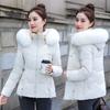 Winter Baumwollgepolsterte Jacke Damen Baumwollgepolsterte Jacke Kurzer Pelzkragen Baumwollgepolsterte Jacke Damen Warme und Kältebeständige Gepolsterte Jacke Jacke