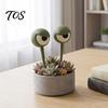 Unique Potted Plant Ornaments 1 Pair Planter Insert Big Eyes, 3D Printed Eye Decorations, Flower Pot Soil Inserts Stakes, Funny Eyes for Indoor