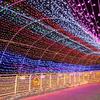 Yingtu Holiday Decorative LED String Lights