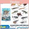 Реалістична колекція пластикових моделей тварин Арктики та Антарктики з деталізованими океанічними істотами