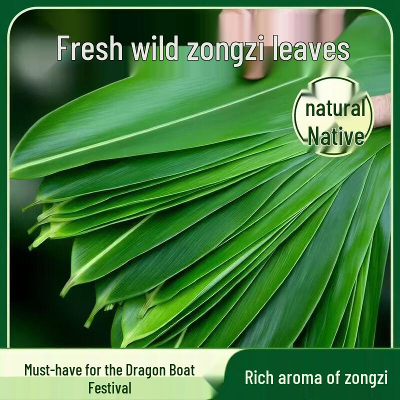 Shangqi Fresh Zongzi Leaves