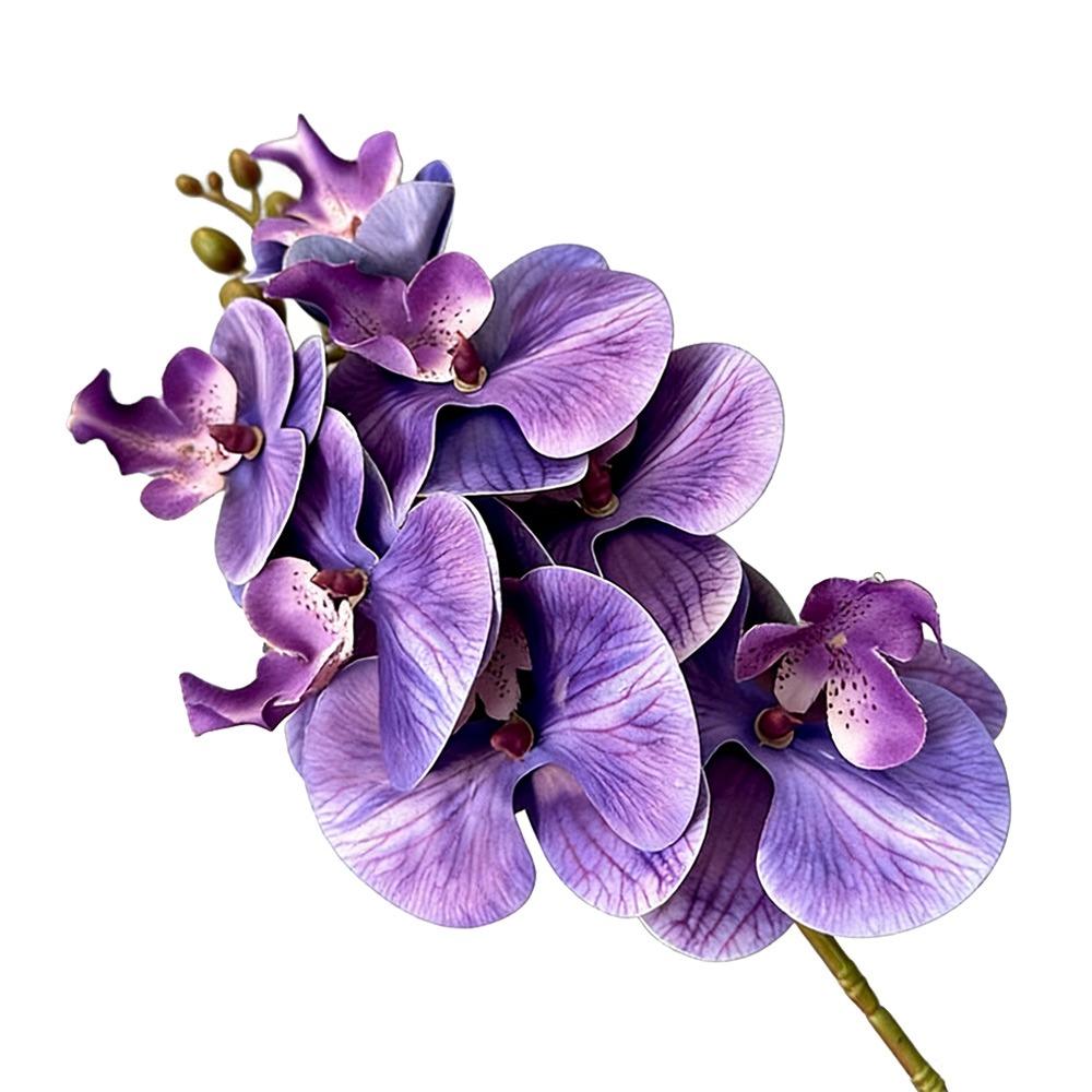 Butterfly Orchid Artificial Phalaenopsis Flower Long-lasting PVC Faux Orchid Stems Real Touch Single Branch Simulation Orchid