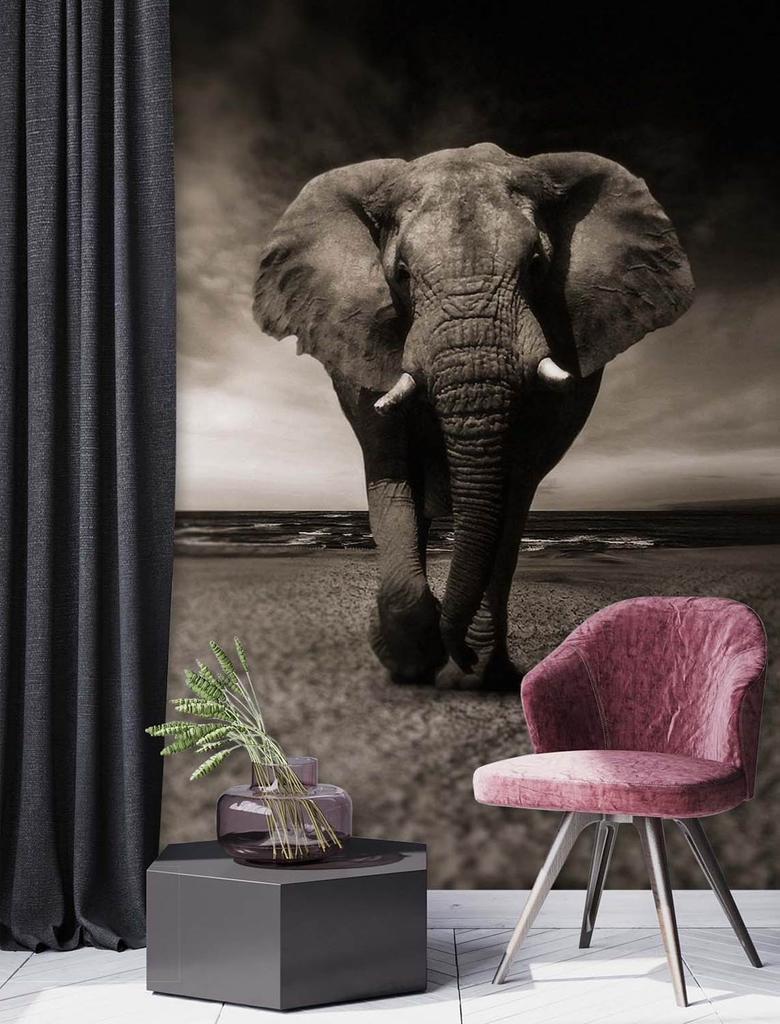 Tapet Elefant djur Afrika