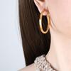 Classic Trendy Twisted Round Hoop Earrings For Women Stainless Steel 3Mm Thick Ear Buckle Earrings Vintage Jewelry Accessories