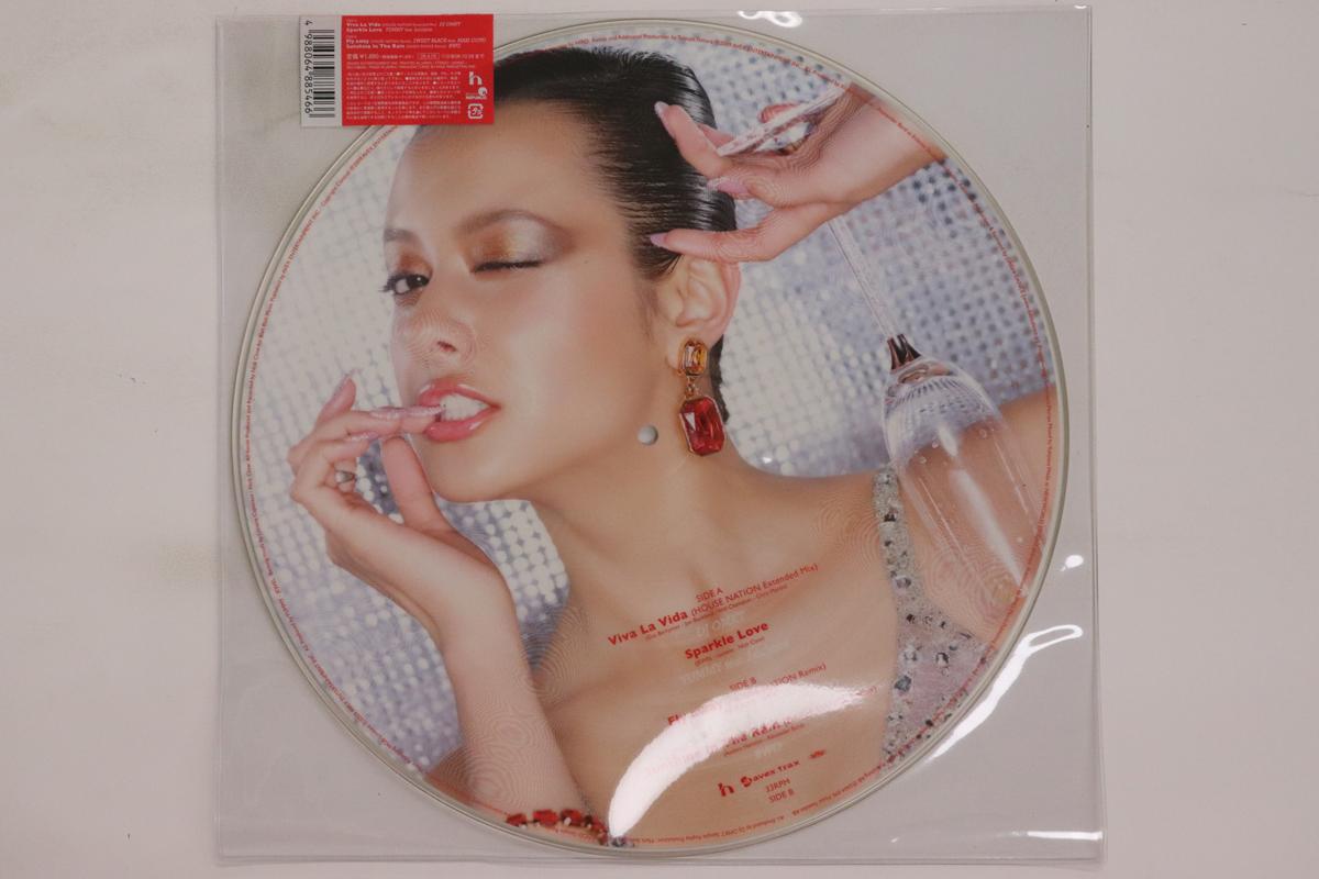 

12inch Record VARIOUS House Nation Ruby RR1288546 Rhythm Republic 2009 Japan Japanese Club Dance Used