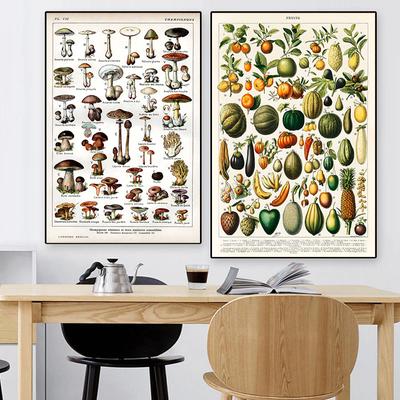 Adolphe Millot Vintage botaniczny plakat retro grzyby owoce rośliny płótno malarstwo ścienne sztuka kuchnia salon wystrój domu
