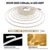 240EDs/M 5M 10M LED Strip Light 24V RA98 2700K 3500K 4000K 5000K 6000K Flex Tape Bright 5MM 8MM 10MM PCB 120LED Home Lighting